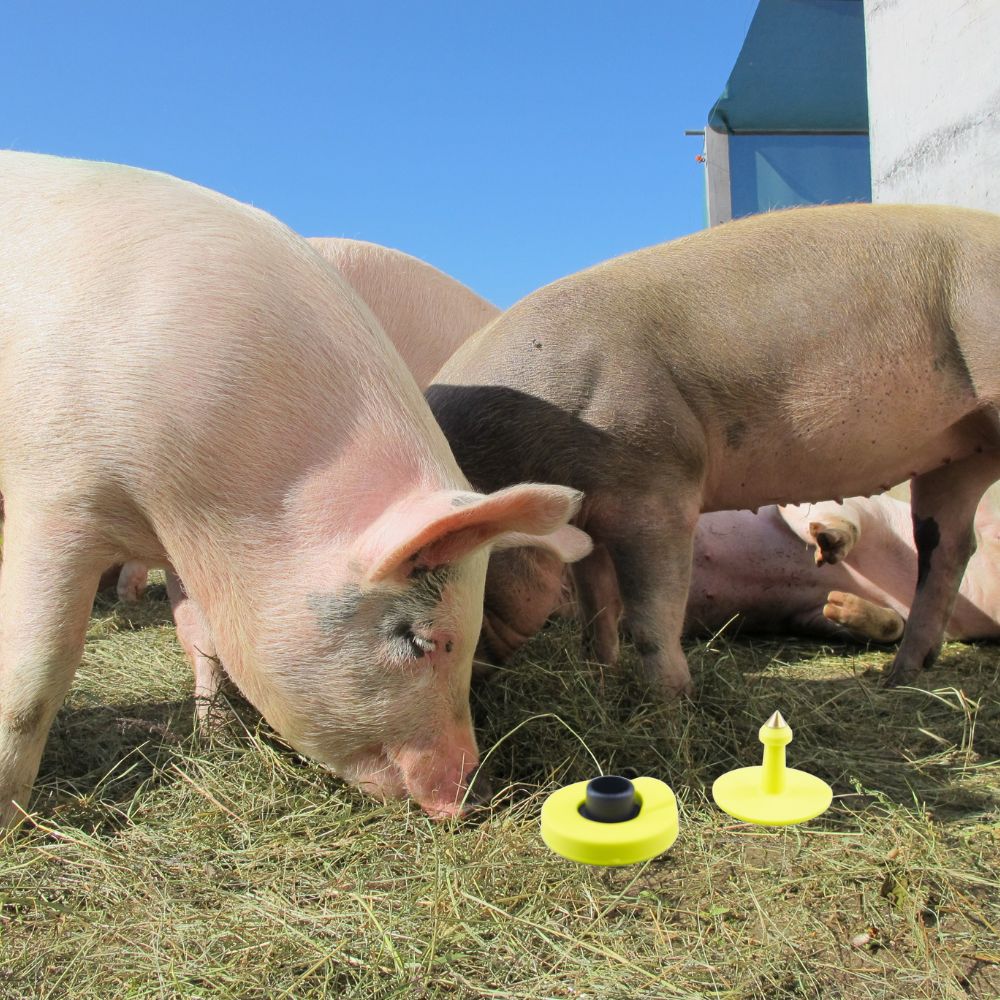 Kaj pomeni RFID 14 Oznaka EID