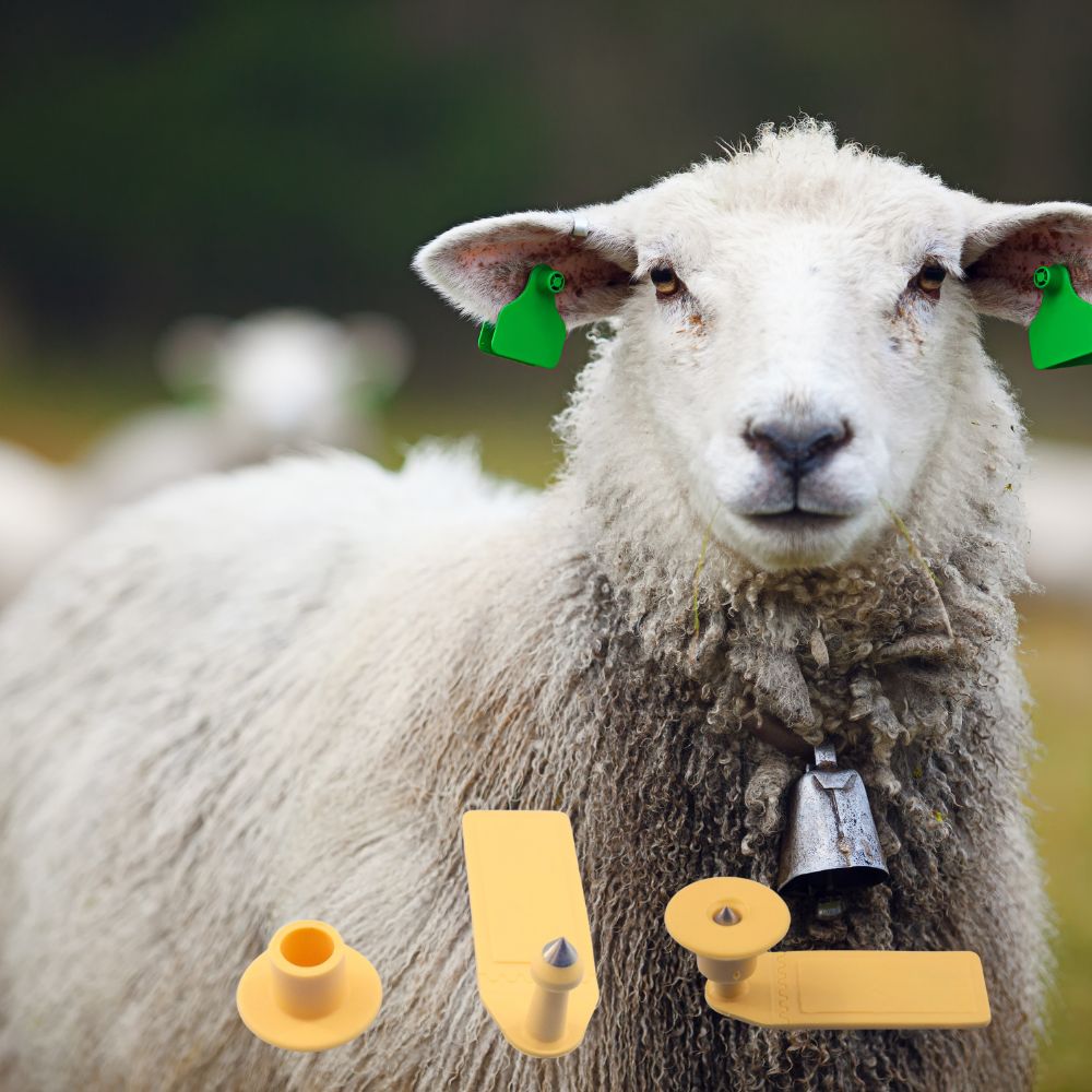 Ετικέτα EID