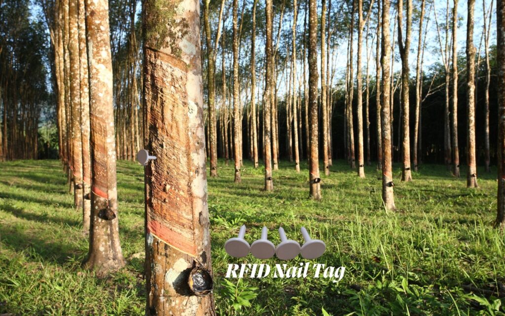 RFID Nail Tag for Tree Tracking 1 RFID Nail Tag for Tree Tracking