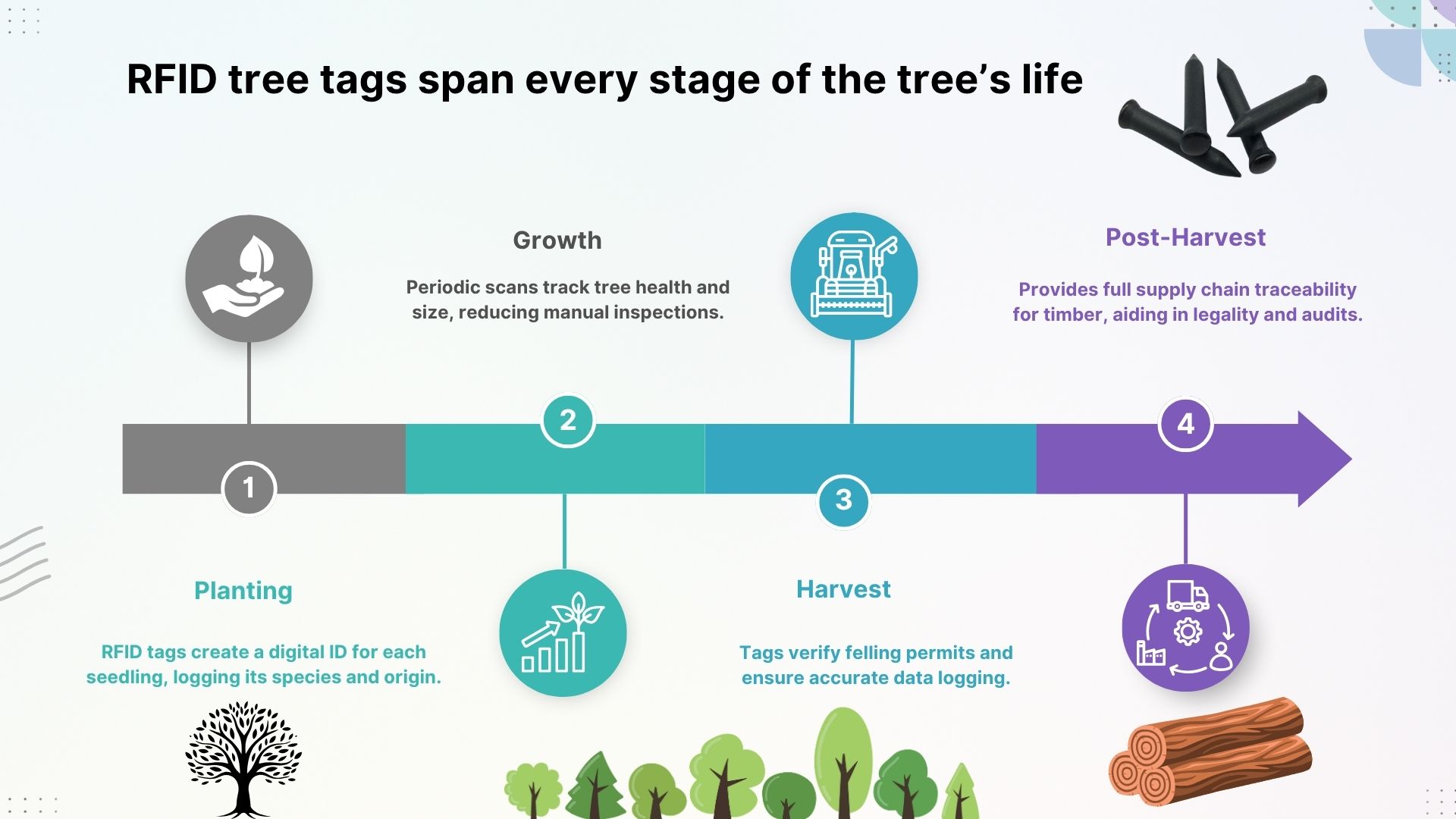 How Nail Tag RFID Tech Transforms Tree Tracking & Forestry