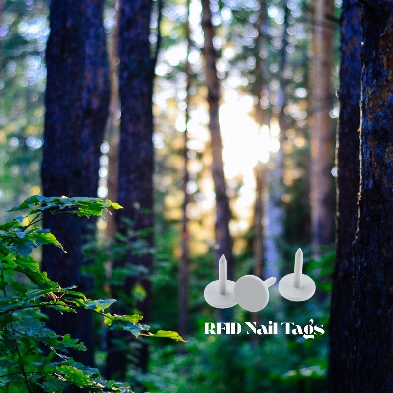 How Nail Tag RFID Tech Transforms Tree Tracking & Forestry