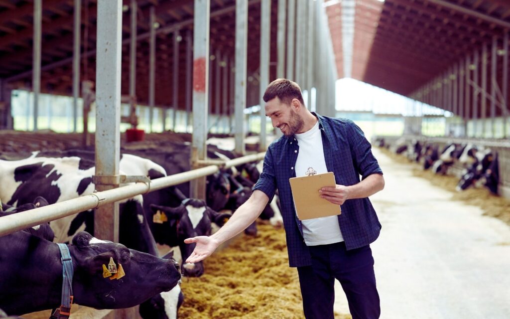 RFID Tags for animal management